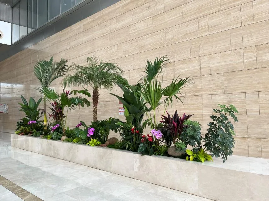 惊叹！宁波北仑绿植租赁，服务好到惊艳众人